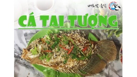 베트남 맛 있는 음식을 찾아서 Cá Tai Tượng ( 까 따이 뜨엉 )