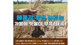 베트남 남부 지역 3월달 극심한 가뭄으로 농업 비상