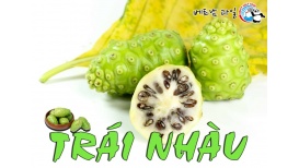 달콤새콤 맛있는 베트남의 과일 - Trái Nhào 짜이냐우(기적의 열매 노니 )